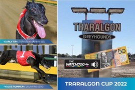 How to spend $50 on TAB’s ‘All In’ Traralgon Cup market