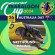 Sportsbet Traralgon Cup – Australia Day 2024