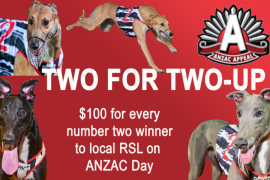 ANZAC Appeal | Two for Two-up